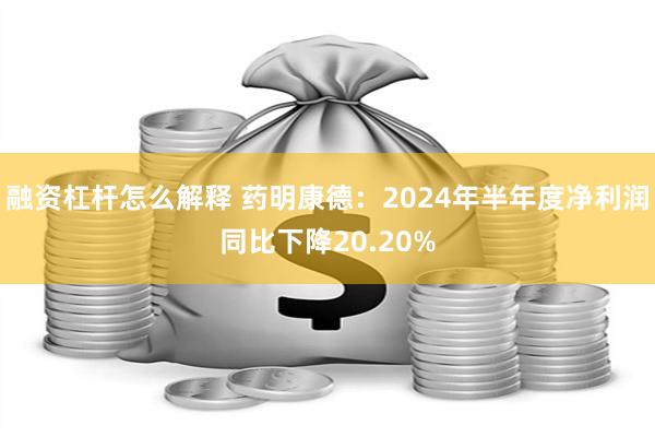 融资杠杆怎么解释 药明康德：2024年半年度净利润同比下降20.20%