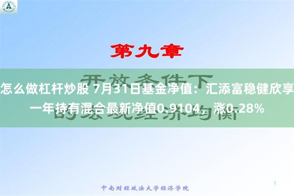 怎么做杠杆炒股 7月31日基金净值：汇添富稳健欣享一年持有混合最新净值0.9104，涨0.28%