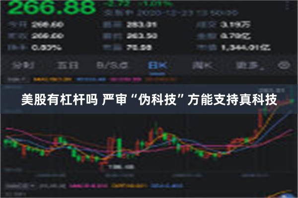 美股有杠杆吗 严审“伪科技”方能支持真科技