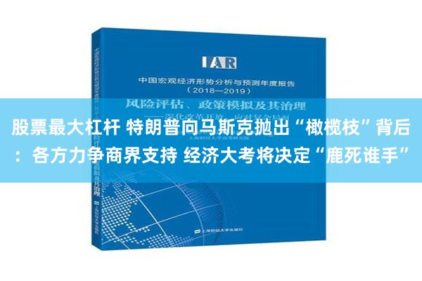 股票最大杠杆 特朗普向马斯克抛出“橄榄枝”背后：各方力争商界支持 经济大考将决定“鹿死谁手”