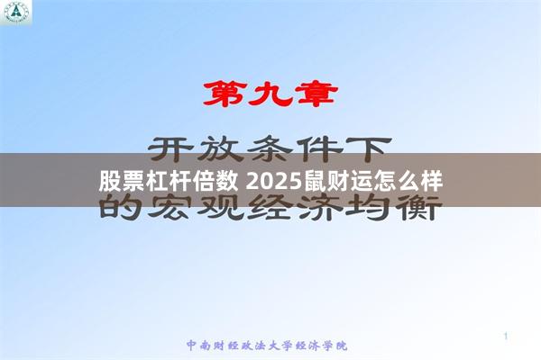 股票杠杆倍数 2025鼠财运怎么样