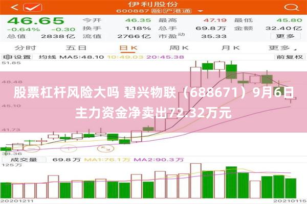 股票杠杆风险大吗 碧兴物联（688671）9月6日主力资金净卖出72.32万元