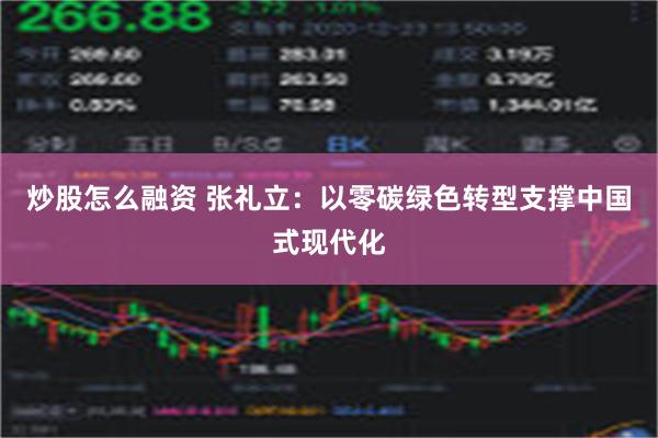 炒股怎么融资 张礼立：以零碳绿色转型支撑中国式现代化