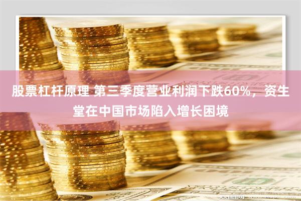 股票杠杆原理 第三季度营业利润下跌60%，资生堂在中国市场陷入增长困境