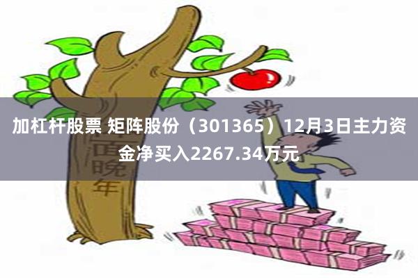 加杠杆股票 矩阵股份（301365）12月3日主力资金净买入2267.34万元