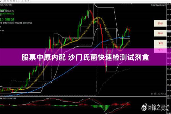 股票中原内配 沙门氏菌快速检测试剂盒